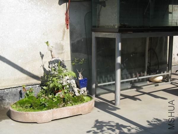 �����µļ�ɽ