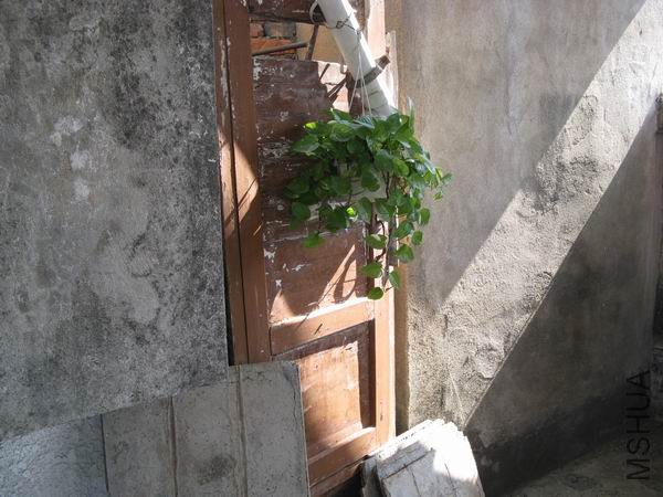 ���䶬�������ƾ�������������һ�贺��