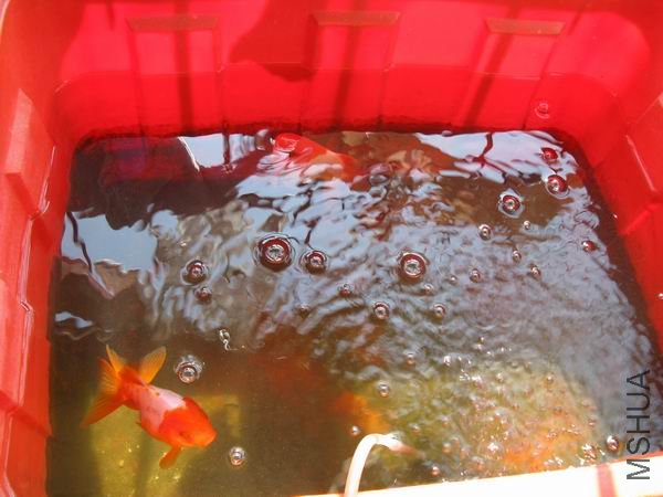 ������ů���������ɵĽ���