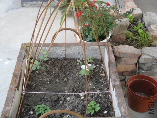 ������ҵ���Ǻǣ��ҵĲ���С��