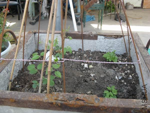 ����һ���Ƕ�