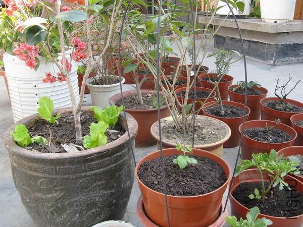 �Ǻǣ�����ҵ���ô��С����������