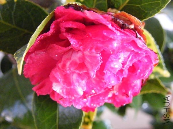 DSCF3547.JPG