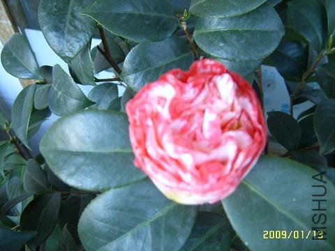 �ڶ��俪��