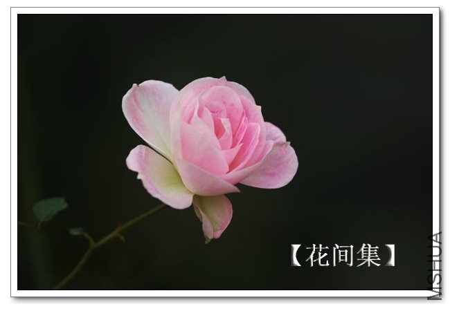 IMG_1190 ����.jpg