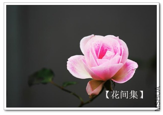 IMG_1227 ����.jpg