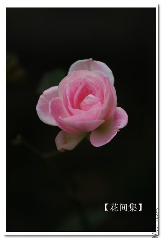 IMG_1196 ����.jpg