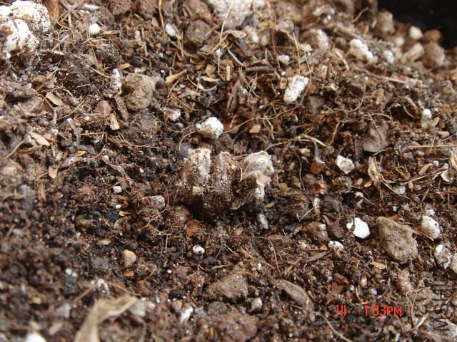 ���ڣ�Զ����---