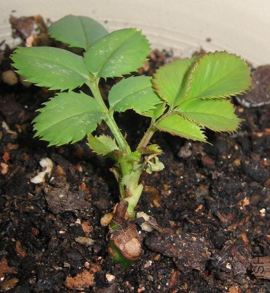 �ݵ��ĵط���Ȼ����ô��ѿ�ˡ�