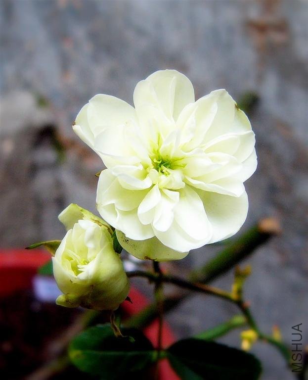 ����G���ֿ����� ^O^