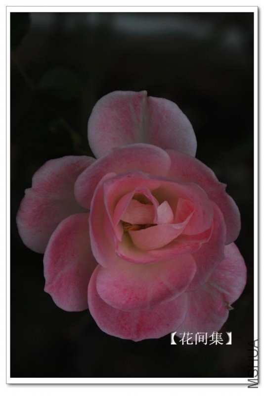 IMG_2224 ����.jpg