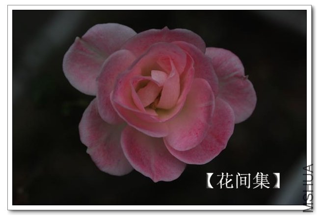 IMG_2222 ����.jpg