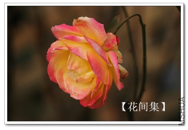 IMG_1202 ����.jpg