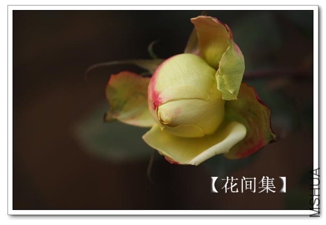 IMG_1214 ����.jpg