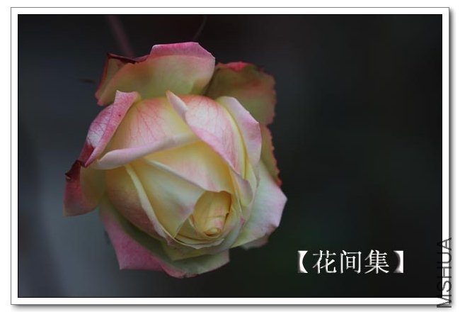 IMG_2211 ����.jpg