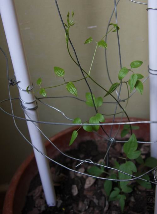 ������С 0116-2a.jpg