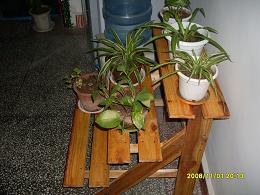 ����Ч��