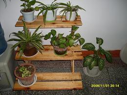 ����Ч��