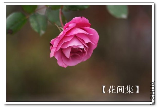 IMG_1135 ����.jpg