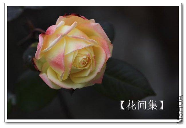 IMG_2399 ����.jpg