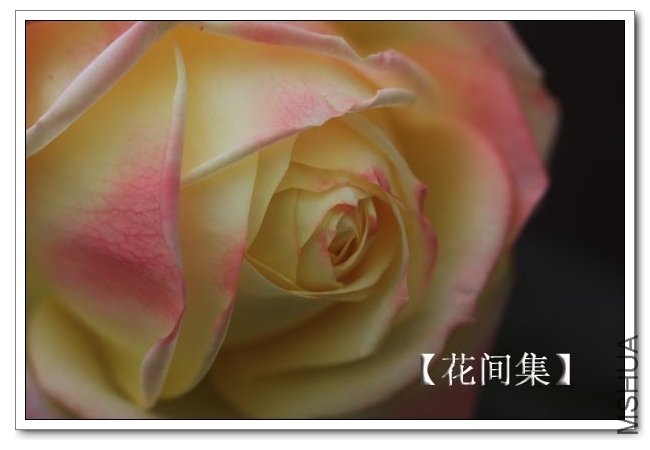 IMG_2400 ����.jpg