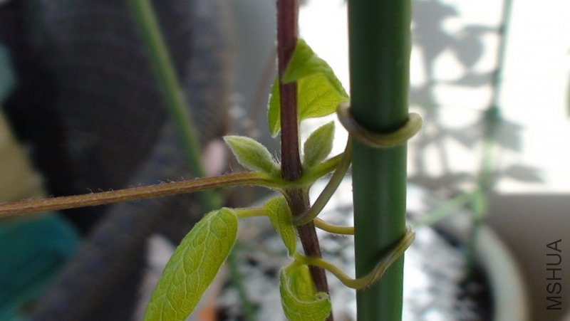 ҶҸ���Ļ�����д