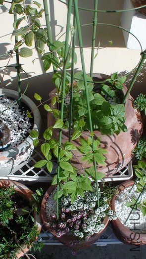 ��󿴿���������ȫ�����״��,�ֳ����˺ܶ���!