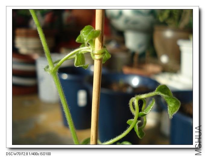 �����߶ض�ʵʵ