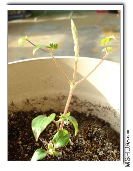 ��³��˾�������ϣ�ǧ���ż�������ʵ���ٳ����Ӱ���