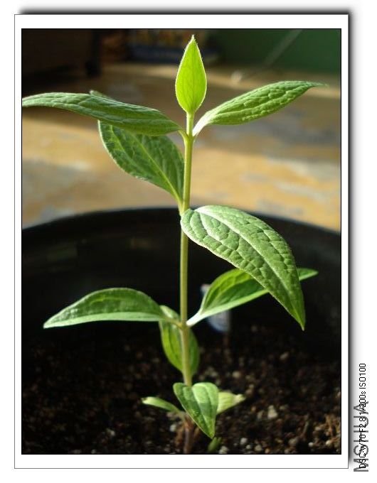 ������һ��һ��ѿ�ܸ��ˣ���һ��ѿ�Ͳ����ˣ��ǲ���Ӫ���������أ�