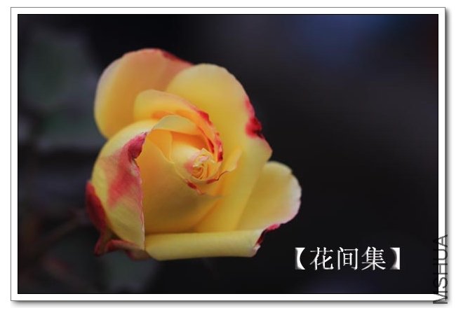 IMG_2394 ����.jpg