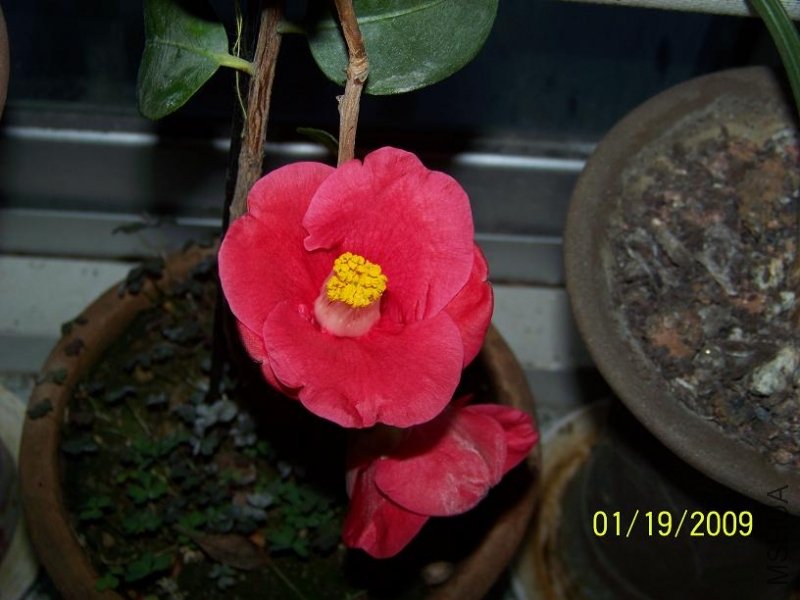100_1107.JPG