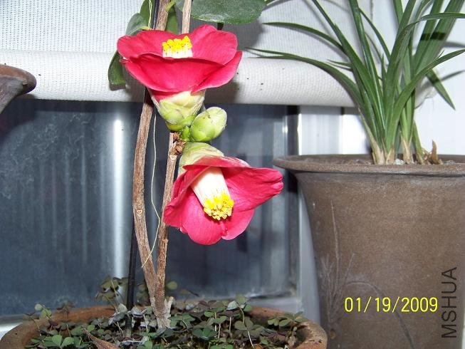 100_1111.JPG