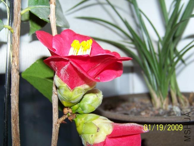 100_1108.JPG