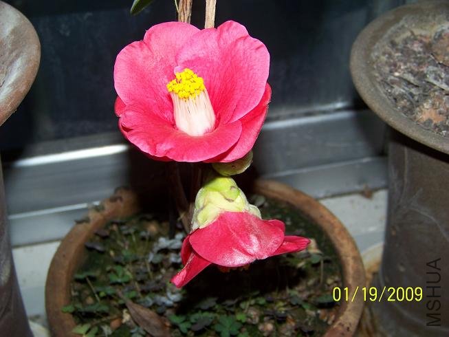 100_1110.JPG