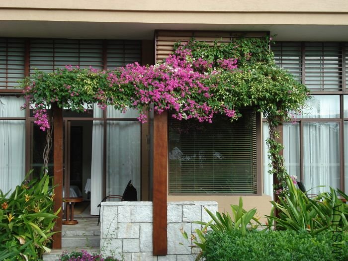 ������׳�ĸ�����