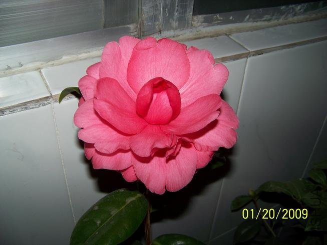 100_1134.JPG