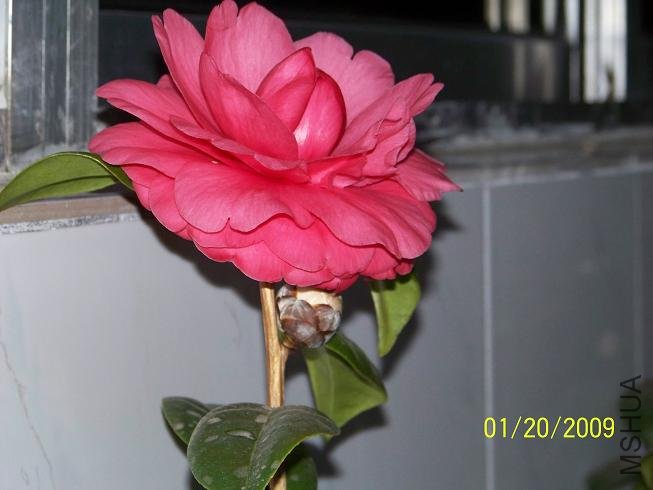 100_1140.JPG