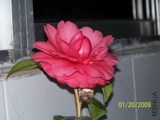 100_1141.JPG
