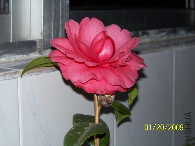 100_1127.JPG