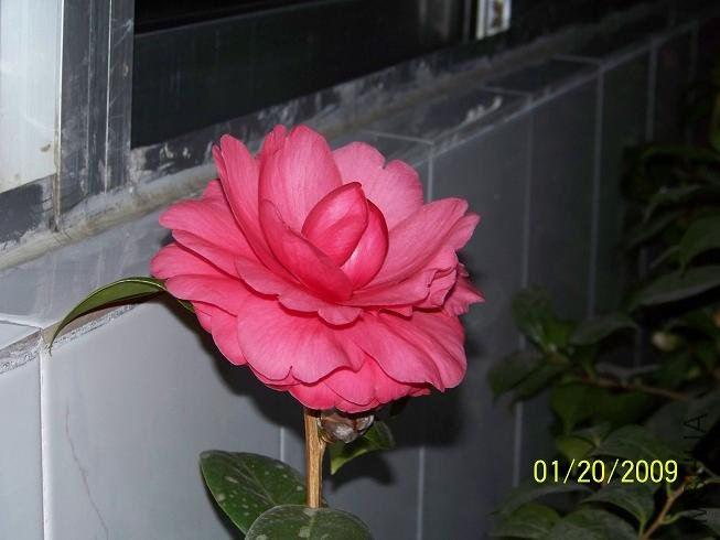 100_1128.JPG