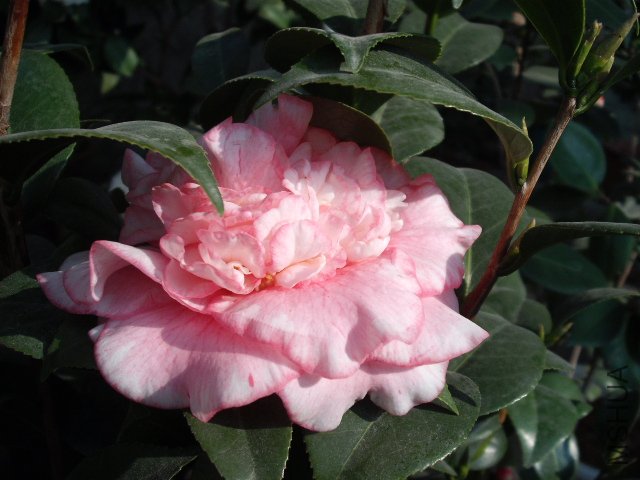 ��Ƭ 073.jpg