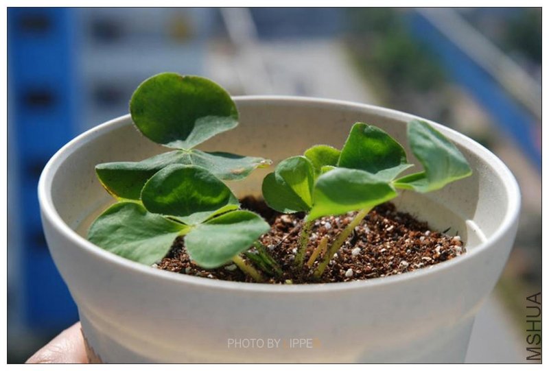 ��������ģ�ֲ�꣩���ص��Ҿ͸����������ˣ�ϣ������ϲ������¼�