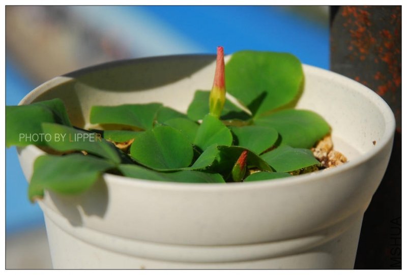 10��40�����ǻ��Ƕ�