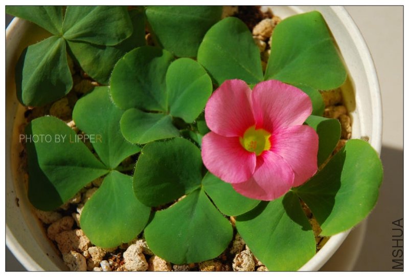 ��һ���Ƕ�