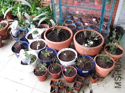 2���¼�����