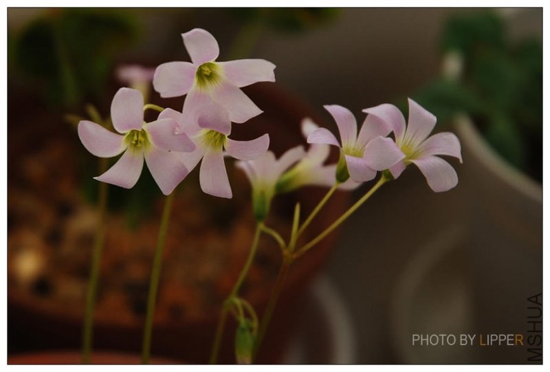 �۷۵ģ�����