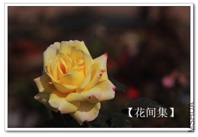 IMG_2627 ����.jpg