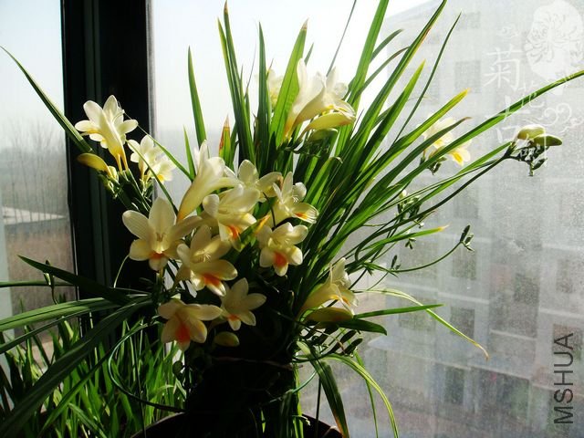 nEO_IMG_nEO_IMG_DSC00865.jpg