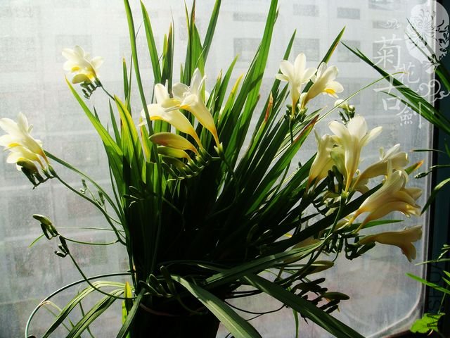 nEO_IMG_nEO_IMG_DSC00867.jpg
